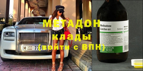 прущие грибы Вяземский