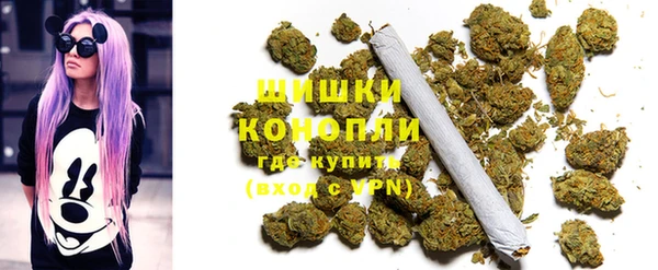 PSILOCYBIN Абаза